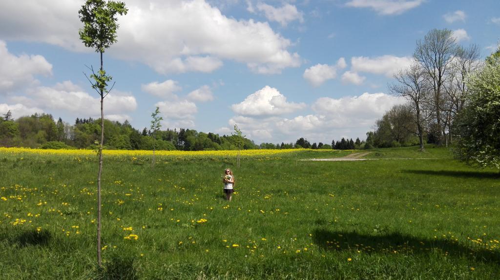 Apartmany Na Rozcesti Lomnice nad Popelkou Exteriör bild